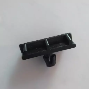 خار رکاب پارس بلند